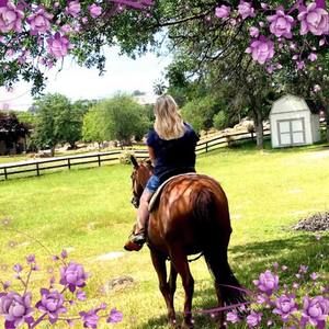 Meet your Posher, Suzanne